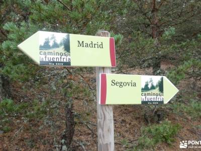 Monte Valsaín-Colada Fuenfría; sierra de castril hoces del duraton rutas pantano de lozoya sepulveda